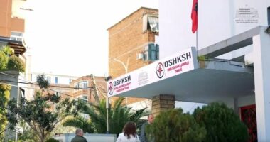 Portali ‘Infermierë për Shqipërinë’/ Rama: 226 profesionistë të punësuar me meritokraci dhe transparencë