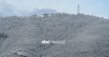 Reshje bore në juglindje të vendit, disa fshatra në Korçë pa energji elektrike