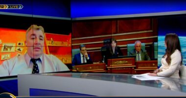 Kosova në zgjedhje të parakohshme/ “Kurti autokrat”, Nurellari: Kriza e radhës nuk është rastësi! Papërgjegjshmëri antikushtetuese!