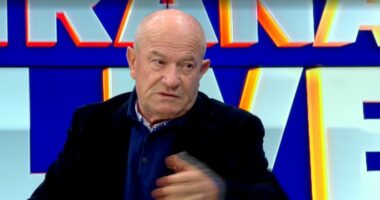 Rithemelimi vdiq, por Berisha vazhdon/ Meçe: Salianji, pjesë e skenarit të Berishës për zgjedhjet