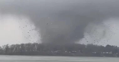 VIDEO/ Tornado në Michigan, raportohet për të paktën 4 viktima