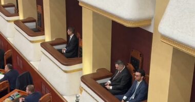 Miratohen ndryshimet në qeveri/ Kuvendi votoi dekretet, Berisha e Topalli votë pro Spiropalit