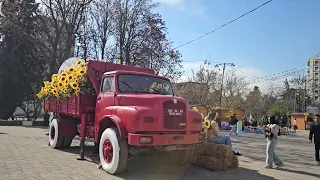 Elbasani hap dyert…për verën/ Vizitorët “pushtojnë” qytetin në prag të festës