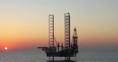 Nafta ulet sërish/ Deklaratat e Trump luhasin bursat, çmimi bie me 5 dollarë