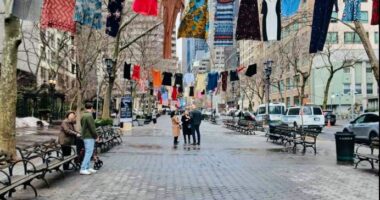 Instalacion kundër dhunës serbe/ Vepra e kosovares, para selisë së OKB në New York