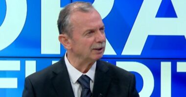 PD, zgjedhje dhe “zgjidhje”/ Nura: Përjashtimet, strategji e Berishës për të mbajtur partinë