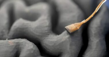 Inteligjenca artificiale “lexon” mendimet