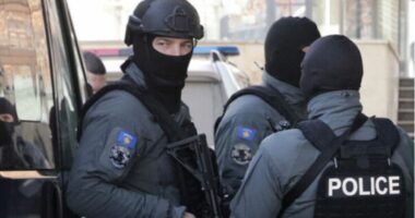 “Delivery”, pesë të arrestuar/ Sekuestrohen 3.3 kilogramë hashash dhe mbi 4 mijë euro