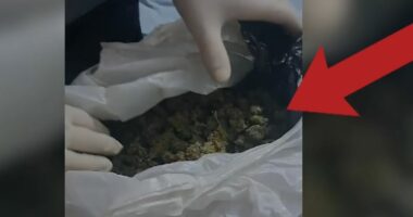 EMRI/ Shpërndante kokainë dhe kanabis në Lushnje, arrestohet 36-vjeçari