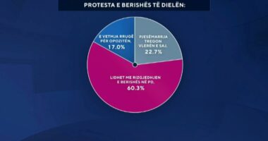 Protesta e opozitës/ Sondazhi, 60 për qind: ‘Aksioni’ me molotovë, për rizgjedhjen e kryetarit të PD