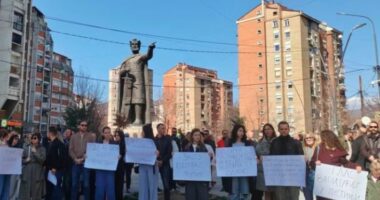 Studentët, protestë në Mitrovicën e Veriut/ Kundër integrimit në sistemin kosovar të arsimit