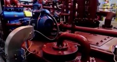 Preken sërish rezervat e naftës? Mendohet lirimi i më shumë sasie, pas 400 milionë fuçive rekord