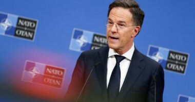 Shefi i NATO-s: I bindur se aleanca do të rihapë Ngushticën e Hormuzit