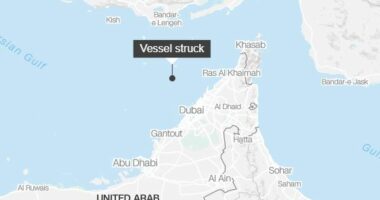Shtohen sulmet në Ngushticën e Hormuzit, goditet nga një predhë anija e mallrave