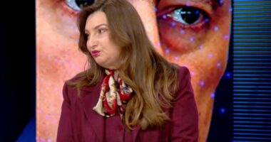 “PD në kilometrin e fundit drejt varrit politik”, Taulanda Jupi: Flamujt gjermanë në protestë, gafë e Berishës