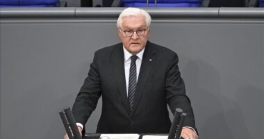 Presidenti gjerman bën thirrje për lidhje strategjike me fuqitë në zhvillim