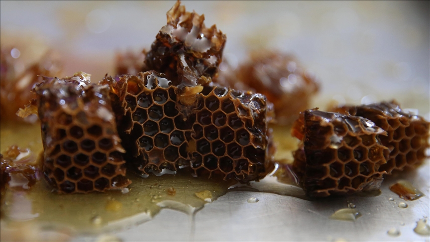 turqia-prodhuesi-i-dyte-me-i-madh-i-mjaltit-ne-bote