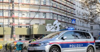 Aksident tragjik në Vjenë/ Shemben skelat e ndërtesës, humbin jetën 4 shqiptarë të Kosovës