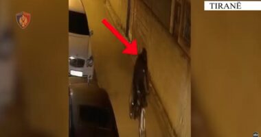 Tritol makinës në Tiranë me urdhër nga burgu Fushë Krujës, shkak dyshohet borxhi prej 15 mijë euro