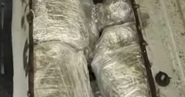 Goricë/ 48-vjeçari grek kapet me 34 kg kanabis në makinë, të ndara në 37 pako. Në pranga dhe pasagjerja (EMRAT)