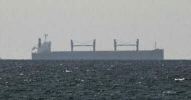 SHBA dërgon 5 mijë marinsa në Gjirin Persik