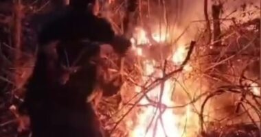 Vatër zjarri në fshatit Somotinë, Pogradec/ Flakët kanë prekur sipërfaqe me dushk