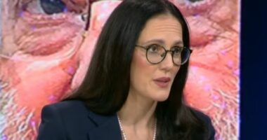 Projektligji për rezervat, Ibrahimaj: Shmangim luhatjet e çmimeve në kohë krizash. Monitorim edhe për çmimet e konsumit