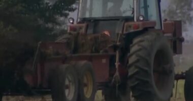 Plehrat kimike në bujqësi, rekord/ Fermerët në botë të shqetësuar nga efektet e luftës