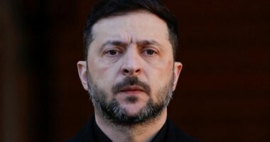 Zelensky u ofron shteteve të Gjirit ndihmë në mbrojtjen kundër dronëve