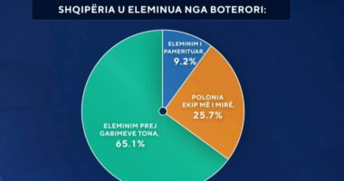 Shqipëria jashtë “Botërorit”/ Sondazhi: 65 për qind mendojnë se eleminimi erdhi prej ‘gabimeve tona’