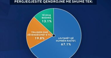 Shqipëria jashtë “Botërorit”/ Sondazhi: 67 për qind bëjnë fajtor lojtarët e skuadrës, 20 për qind Sylvinjon
