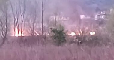 Dy vatra zjarri në Krujë, ndërhyjnë zjarrfikësit për vënien nën kontroll të flakëve