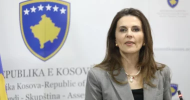 “Nuk jemi Kuvend i ‘karatesë'”/ PDK thirrje Feride Rushitit të tërhiqet nga kandidatura: Lojë e Kurtit