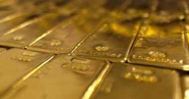 Gjermania renditet e dyta në botë për rezervat e arit