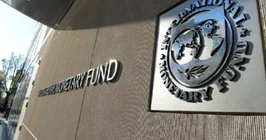 Parashikimi i zymtë i FMN/ Lufta mund të çojë ekonominë globale në recesion