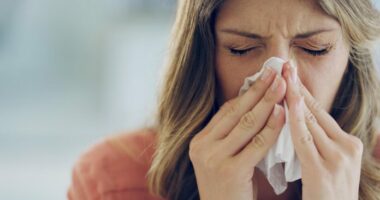 Studimi: Sa më shumë rriten polenet, aq më të këqija simptomat e sinusitit kronik