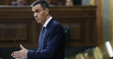 Kritika dhe festime për armëpushimin SHBA-Iran/ Si po reagojnë udhëheqësit evropianë