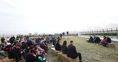 Rama prezanton programin për fermerët: Deri në 2 milionë euro mbështetje, qeverinë e keni nga pas