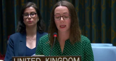 Këshilli i Sigurimit në OKB, Britania bën thirrje për njohje të Kosovës