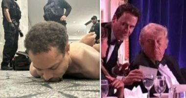 Të shtënat me armë në SHBA/ Autori i sulmit: Kisha shënjestër zyrtarët e administratës Trump