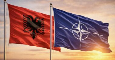 Presidenti Begaj: 17 vite në NATO, Shqipëria aleate e denjë për paqen dhe sigurinë