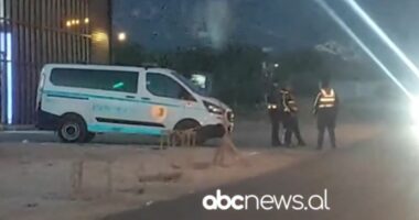 VIDEO/ 45-vjeçari u qëllua për vdekje me çifte në Nikël, pamje nga vendngjarja