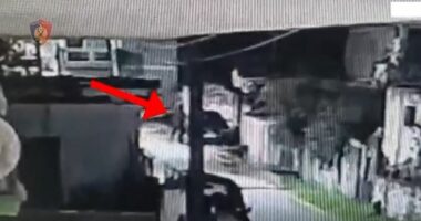 Dogji automjetin në Lushnjë/ Arrestohet 39-vjeçari, në kërkim porositësi