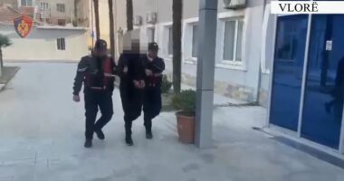 Shiste drogë në Dhërmi, arrestohet 36-vjeçari nga Lushnja