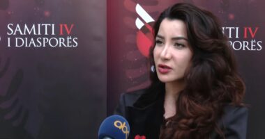 Diaspora dhe investimet në Shqipëri/ Drejtuesja e AIDA: Roli i saj mbetet esencial për vendin