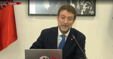 Samiti i diasporës në Tiranë/ Ministri Hoxha: Sjellim Evropën në Shqipëri, forcojmë lidhjen me diasporën