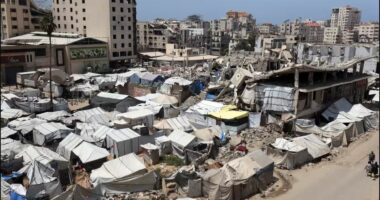 “Lufta” pas armëpushimit/ Kushte të vështira në Gaza, djegin plastikë e mbetje për të gatuar