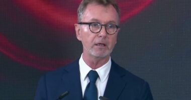 “Harmonizimi me BE-në hap tregje të reja”/ Gonzato: Investimet dhe standardet, sfida kyçe për Shqipërinë