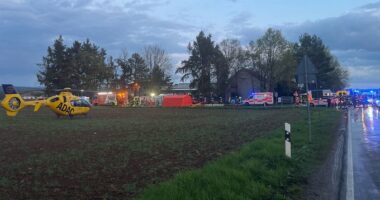 Tre të vdekur pas një aksidenti në një fabrikë lëkure në Gjermani