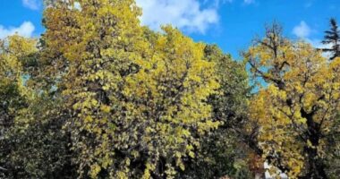 Parashikimi i motit, 18 prill 2026